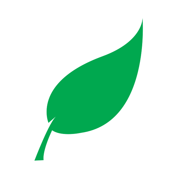 Leaf Transparent